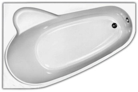 Акриловая ванна Vagnerplast Selena 160x105 L асимметричная VPBA163SEL3LX-01 в Волгограде 0