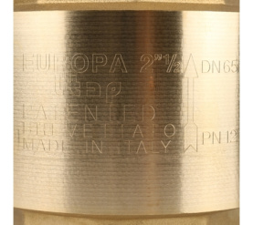 Клапан обратный пружинный муфтовый с металлическим седлом EUROPA 100 2 1/2 Itap в Волгограде 7